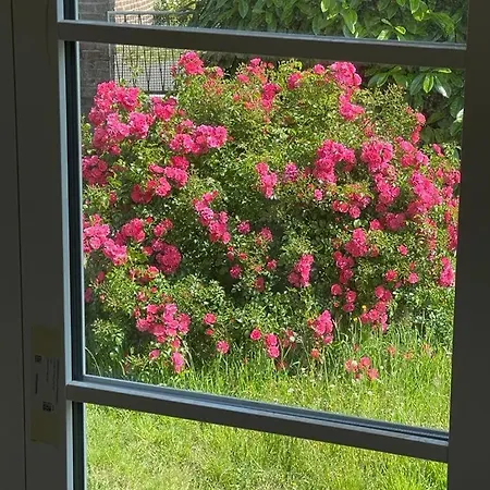 Beautiful 19th Century Host House Near From Etretat