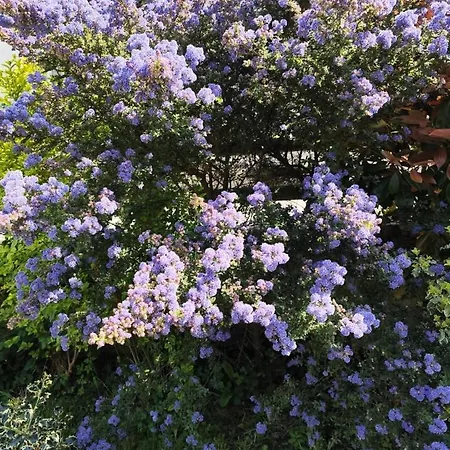 Beautiful 19th Century Host House Near From Etretat Villa